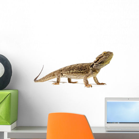 Bearded Dragon Wall Decal