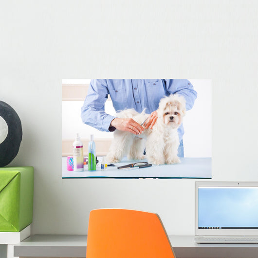 Dog Grooming