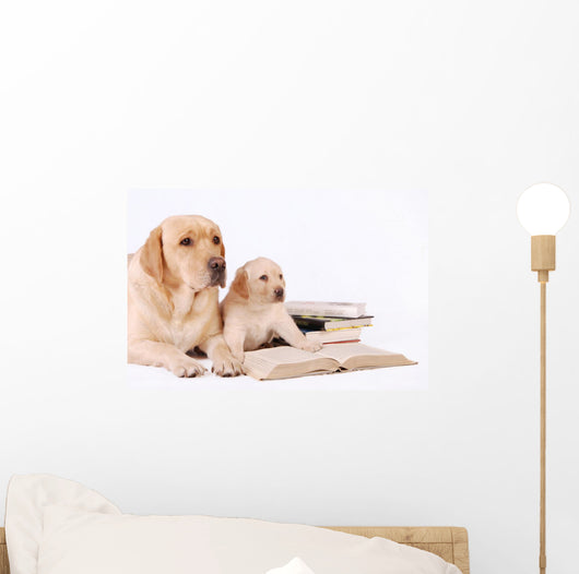 Labrador Puppy and His Wall Decal