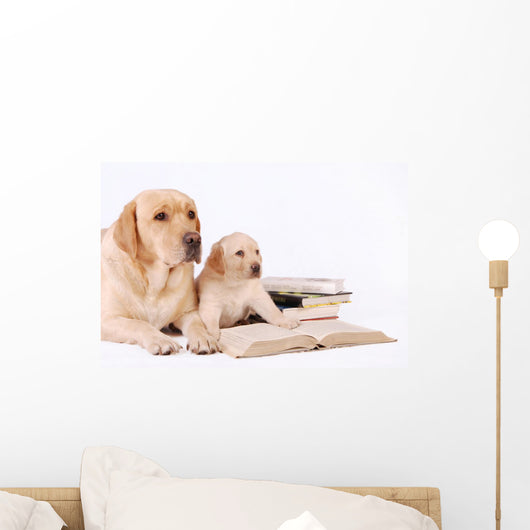 Labrador Puppy and His Wall Decal