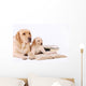 Labrador Puppy and His Wall Decal