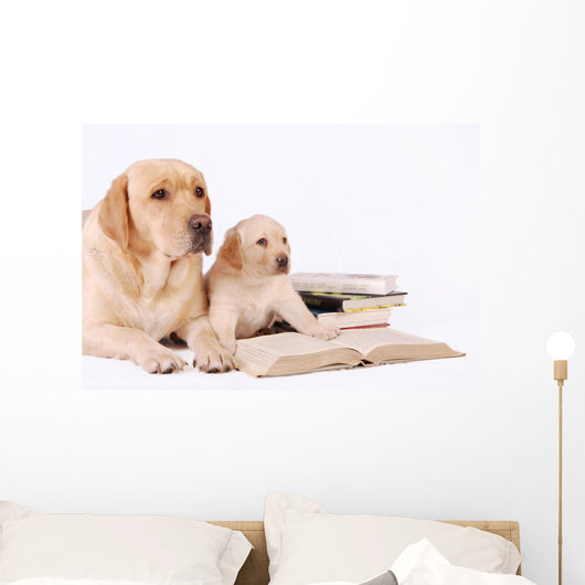 Labrador Puppy and His Wall Decal