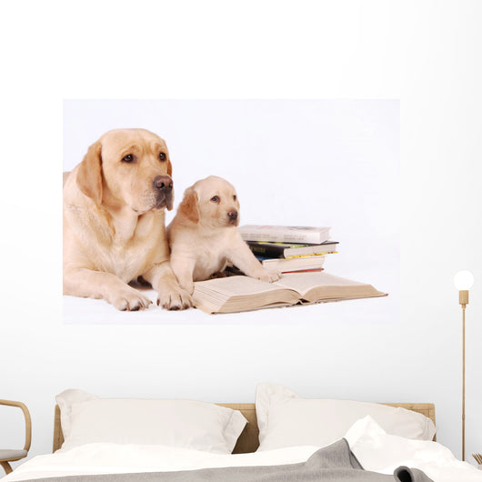Labrador Puppy and His Wall Decal