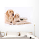 Labrador Puppy and His Wall Decal