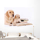 Labrador Puppy and His Wall Decal
