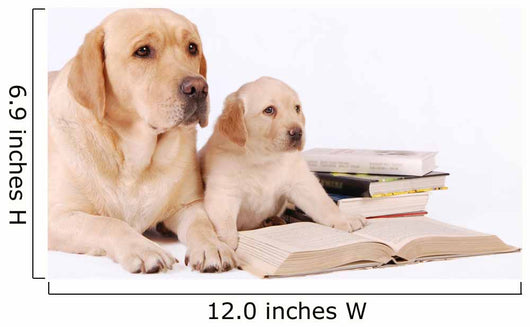 Labrador Puppy and His Wall Decal