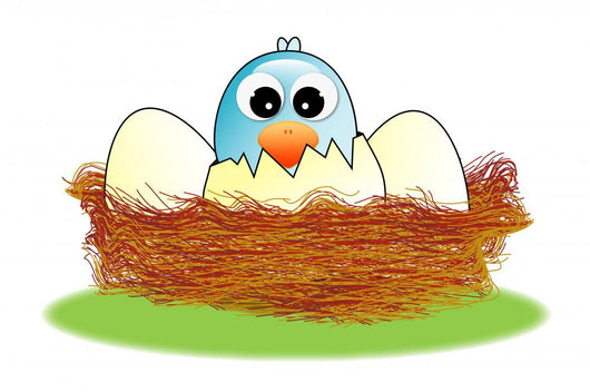 Hatched Egg in the Nest Wall Decal
