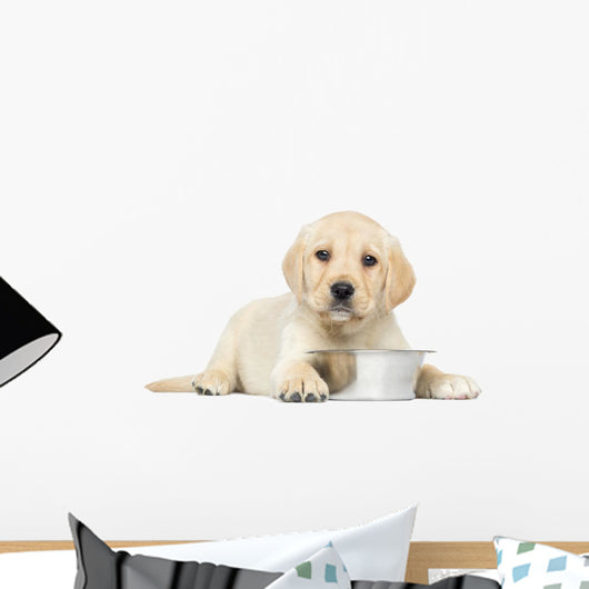 Labrador Retriever Puppy Wall Decal