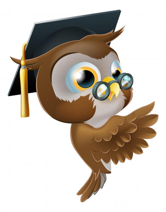 Wise Owl Pointing Sign Wall Decal
