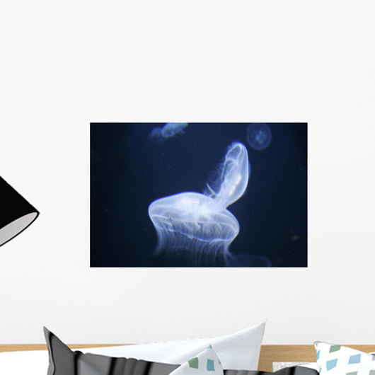 Jellyfish Wall Mural