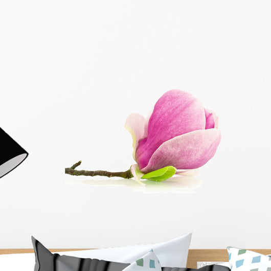 Magnolia Na Biaym Tle Wall Decal