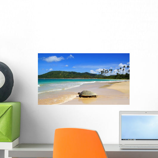 Sea Turtle Beach El