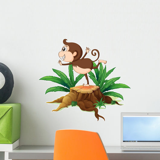 Young Monkey Playing above