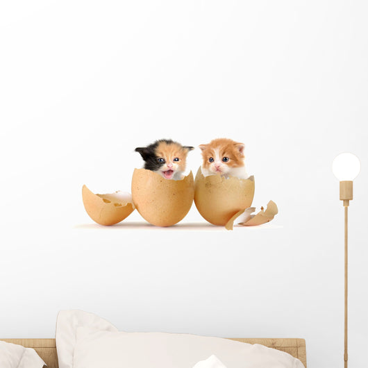 Kittens