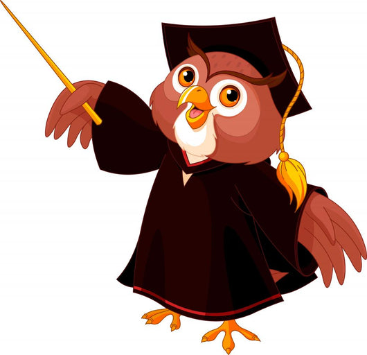 Wise owl Wall Decal