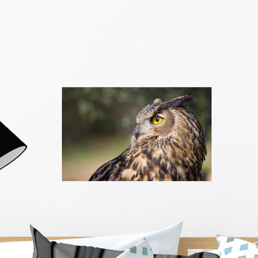 Owl Wall Mural