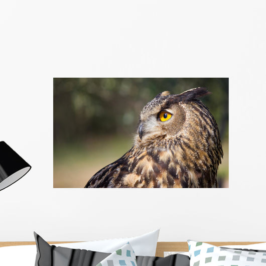 Owl Wall Mural
