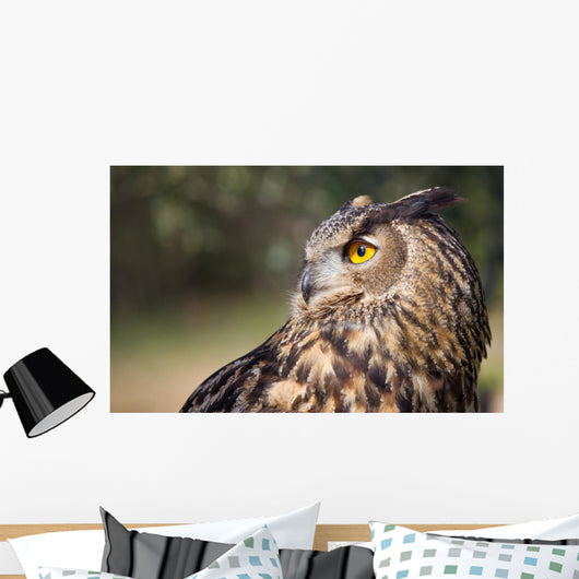 Owl Wall Mural