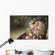 Owl Wall Mural