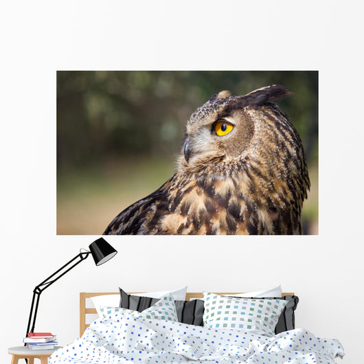 Owl Wall Mural