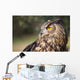 Owl Wall Mural