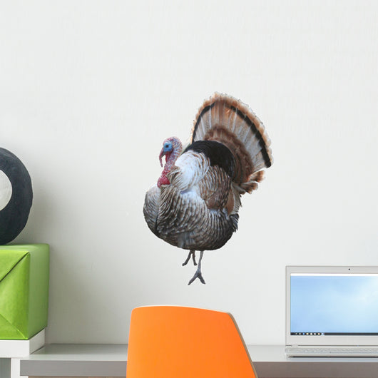 thomas turkey Wall Decal