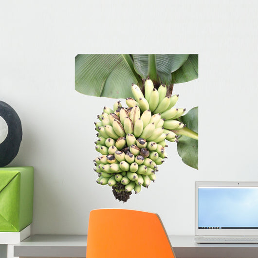 Banana and Banana Leaves Wall Mural