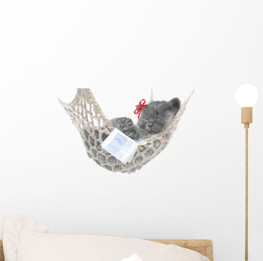 Cute Gray Kitten Sleep in Hammock with Open Book Wall Decal