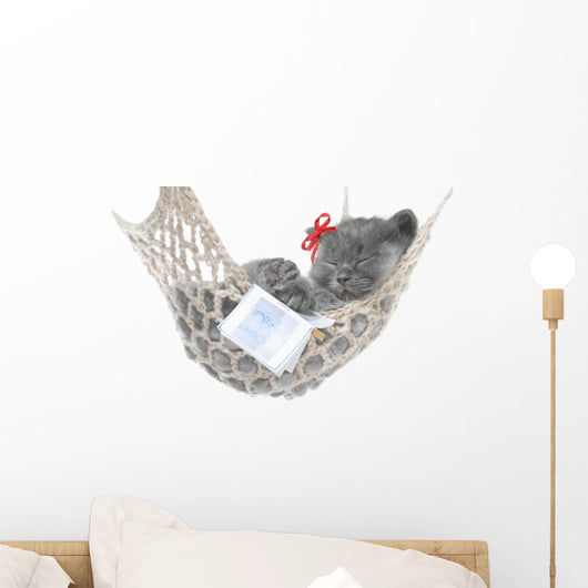 Cute Gray Kitten Sleep in Hammock with Open Book Wall Decal