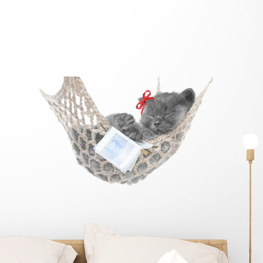 Cute Gray Kitten Sleep in Hammock with Open Book Wall Decal
