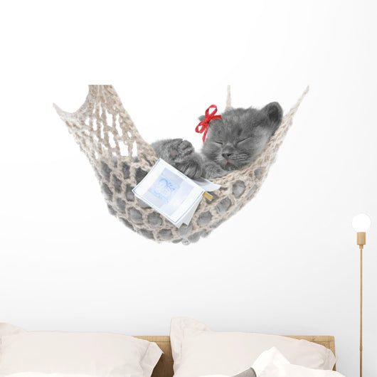 Cute Gray Kitten Sleep in Hammock with Open Book Wall Decal