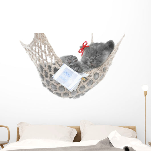 Cute Gray Kitten Sleep in Hammock with Open Book Wall Decal