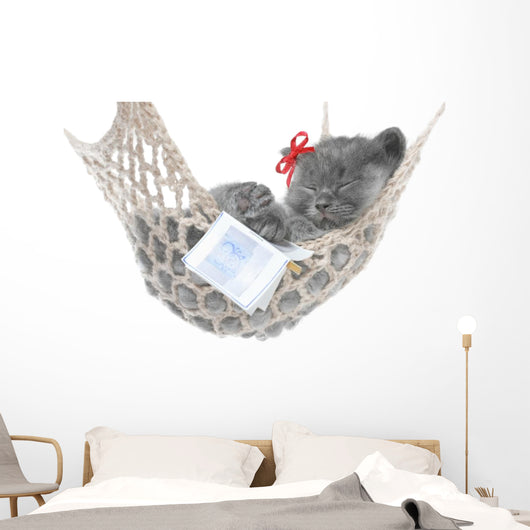 Cute Gray Kitten Sleep in Hammock with Open Book Wall Decal