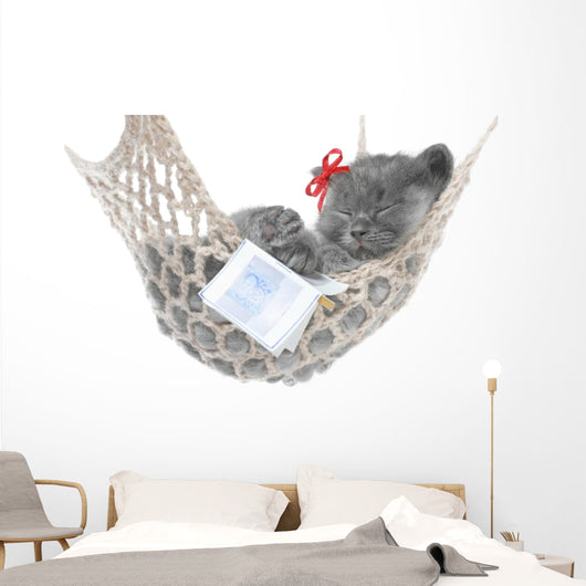Cute Gray Kitten Sleep in Hammock with Open Book Wall Decal