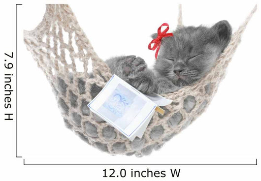 Cute Gray Kitten Sleep in Hammock with Open Book Wall Decal