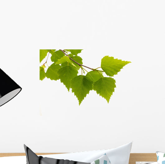 Birch Leaves Tree