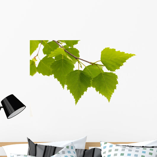 Birch Leaves Tree