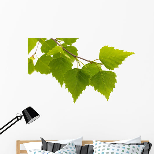 Birch Leaves Tree