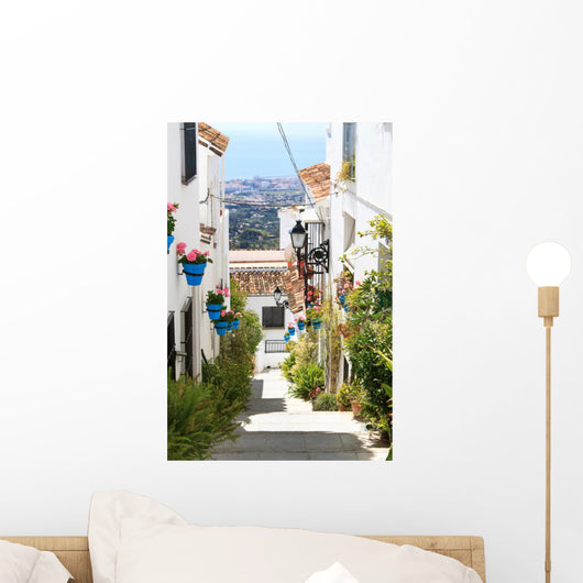 Beautiful Street with Flowers