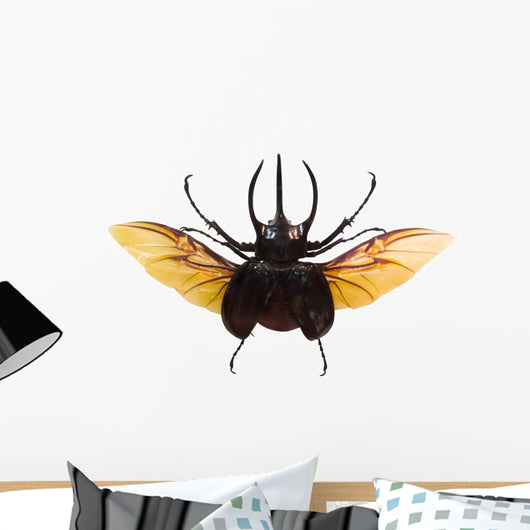 Flying Rhinoceros Beetle White Wall Decal