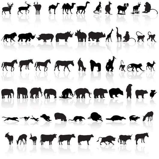 Animal Set Wall Decal Sticker Set