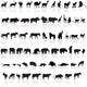 Animal Set Wall Decal Sticker Set
