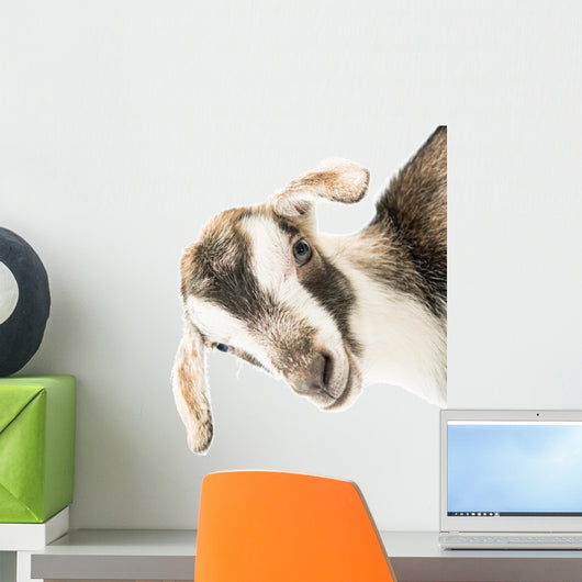 baby goat head Wall Decal