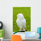 White Owl Wall Mural
