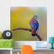 American kestrel (falco sparverius) Wall Mural