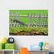 Wooden Palisade Fencing