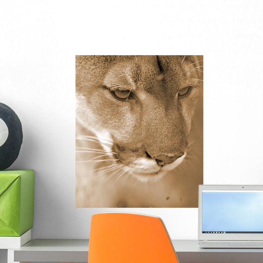 Cougar Wall Mural