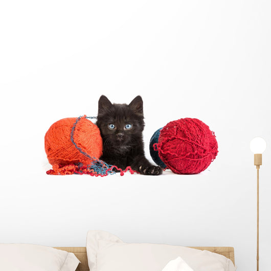 messy yarn kitten Wall Decal