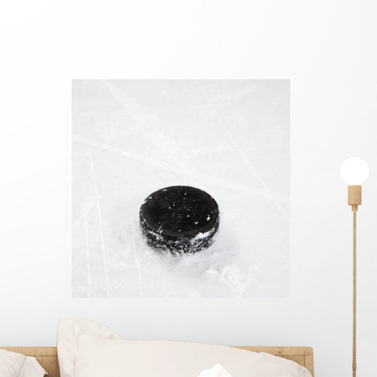Hockey puck on ice. Wall Decal