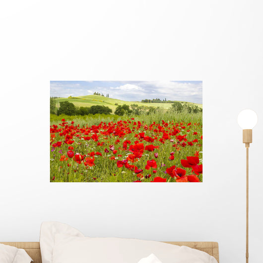 spring in Tuscany, landscape with poppies Wall Mural